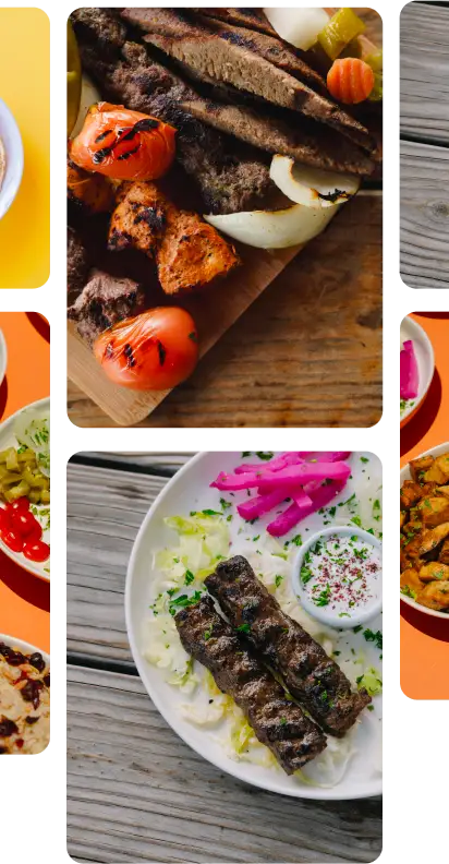 Aladdin Houston lamb gyro and a middloe eastern Kafta kebab