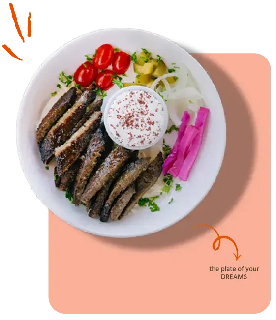 aladdin mediterranean cuisine